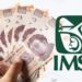 Aumento del Salario Mínimo y su Impacto en las Pensiones del IMSS en 2024